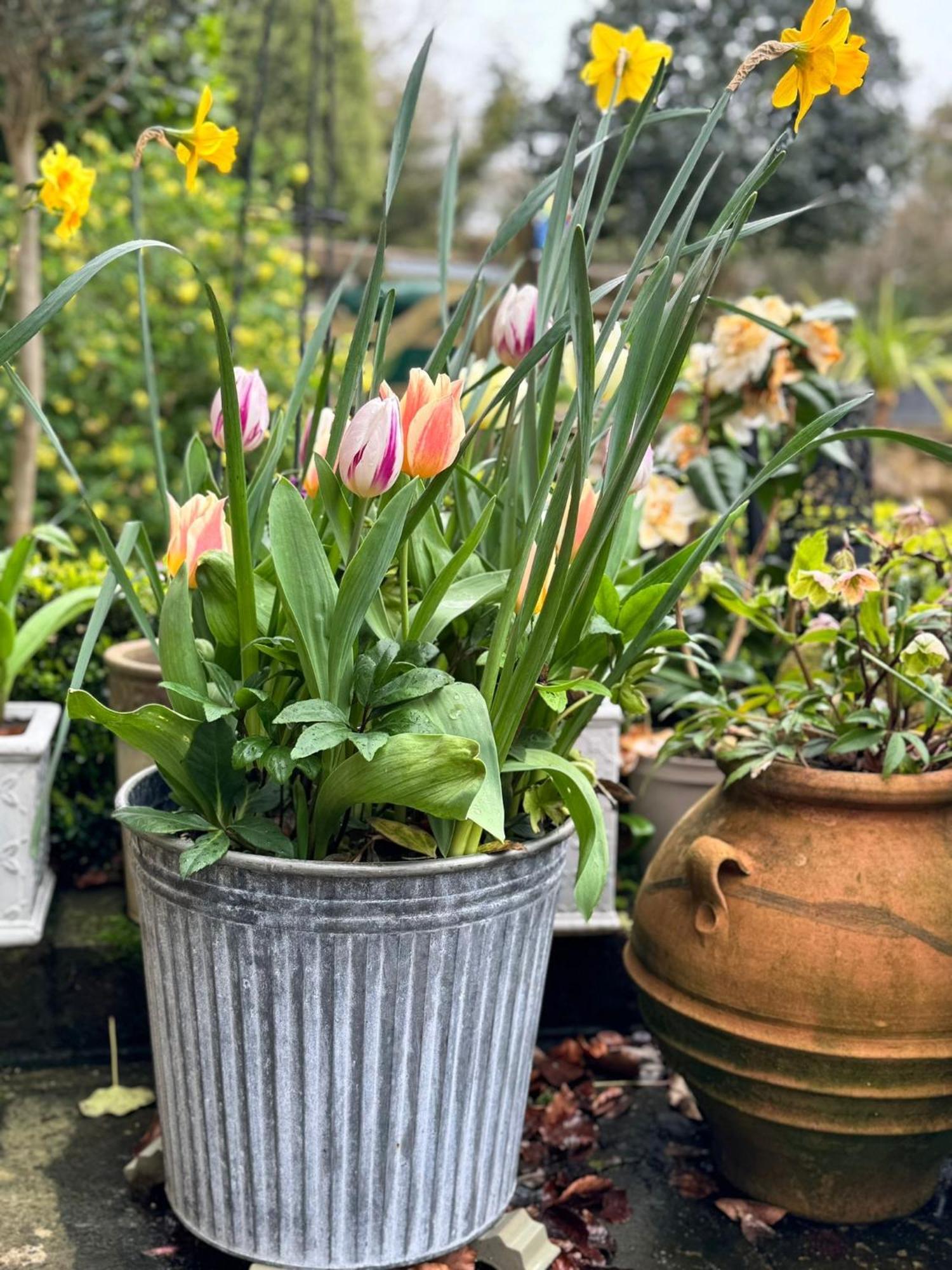 'Bramley Fall Cottage' ' On Site Ev Point - Attached Cottage,3 Separate Bedrooms -1 On Ground Level, Sleeps 6, 2 Bathrooms, Sandy Wittering Beach 8Min Drive, Rural Location, Child Friendly, Small Breed Dog Friendly, Private Parking Чичестър Екстериор снимка