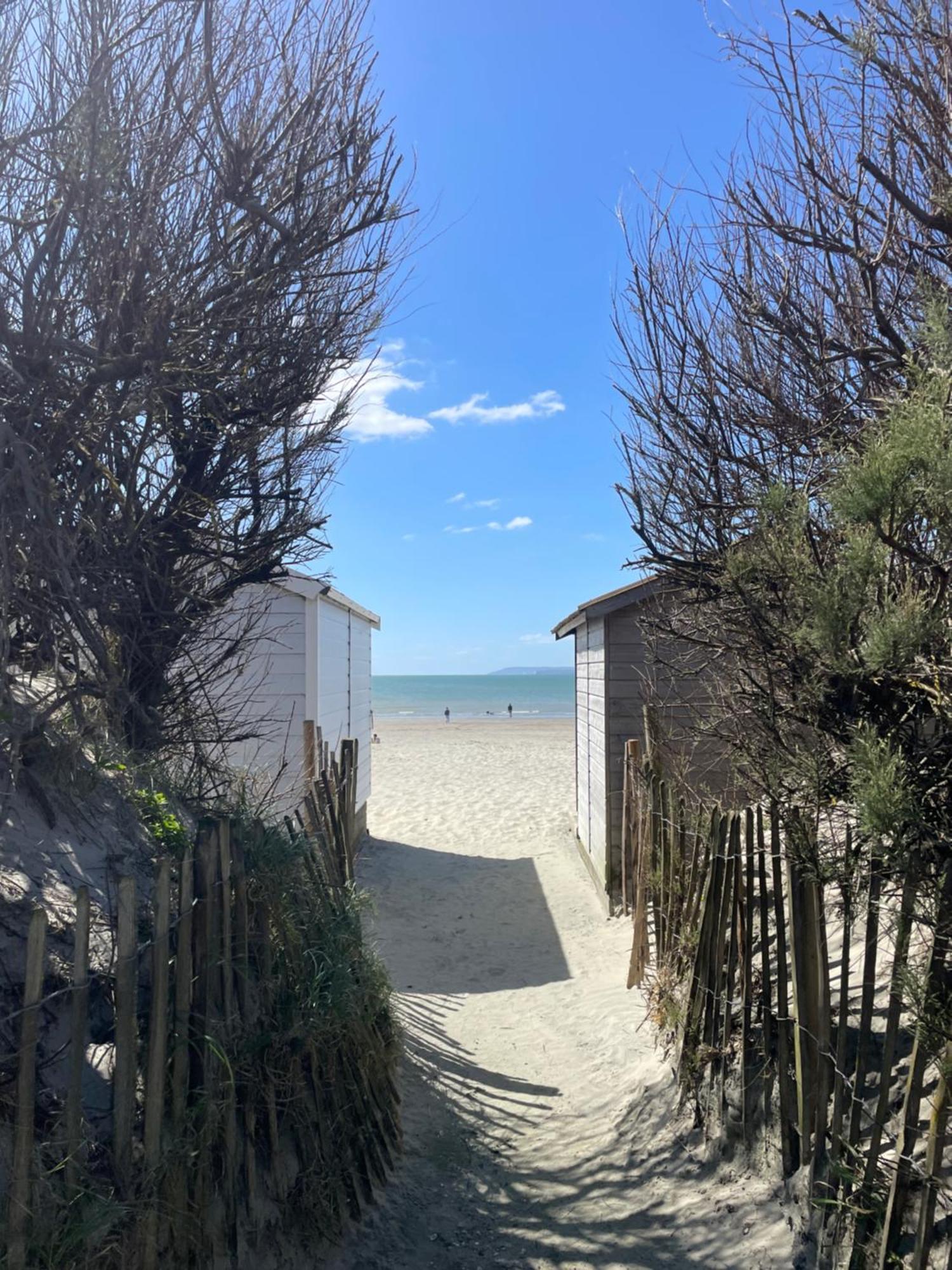 'Bramley Fall Cottage' ' On Site Ev Point - Attached Cottage,3 Separate Bedrooms -1 On Ground Level, Sleeps 6, 2 Bathrooms, Sandy Wittering Beach 8Min Drive, Rural Location, Child Friendly, Small Breed Dog Friendly, Private Parking Чичестър Екстериор снимка